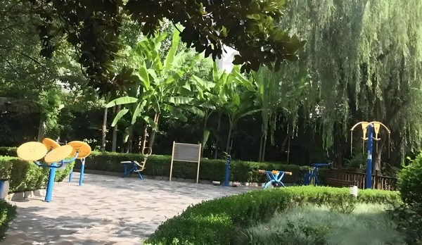 应届深圳毕业生落户_泰国还没真正出手，洪森就呼吁冷静 洪撞上快车城际一辆野猪